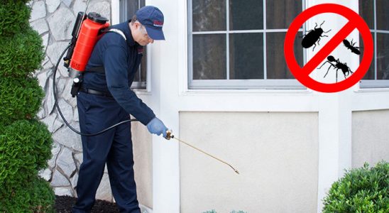 Villakent Fare İlaçlama böcek ilaçlama ve haşere kontrolü — ilaclama-tr.com